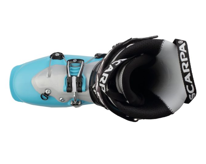 GEA (SPRING 2019) - Image 6